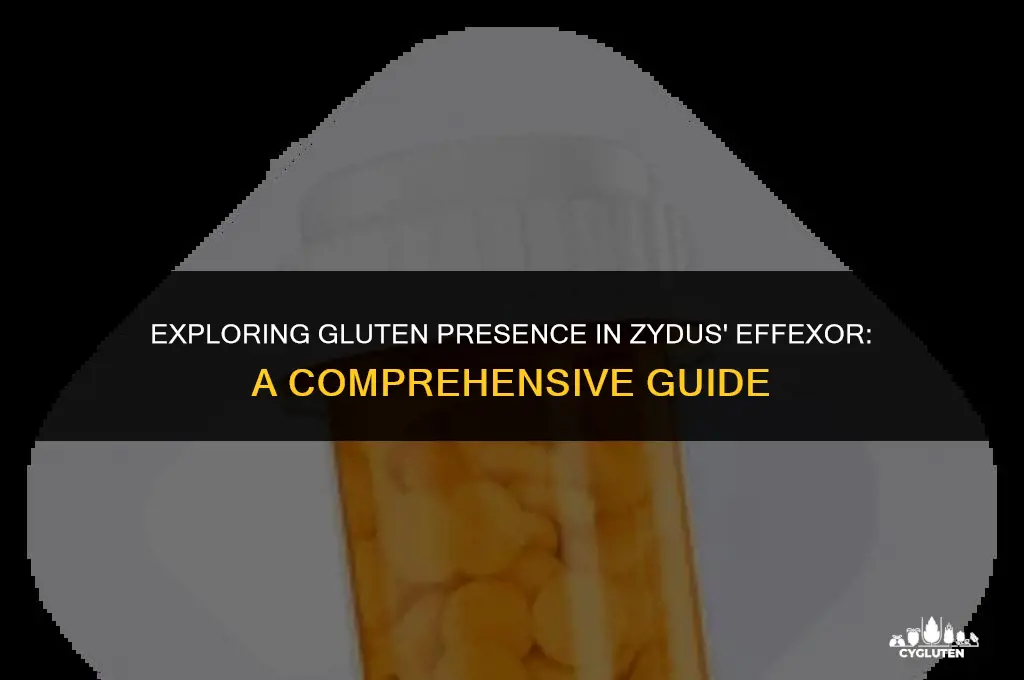 does zydus manufacturer have gluten in the effexor
