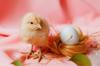 gluten chicken