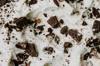 gluten chocolate