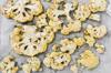 gluten food