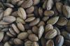 gluten food