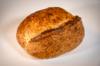 gluten other
