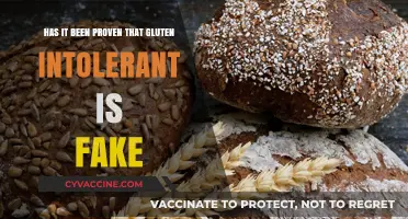 Debunking Myths: The Reality Behind Gluten Intolerance Claims