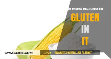 Unveiling the Truth: Does Modified Maize Starch Contain Gluten?