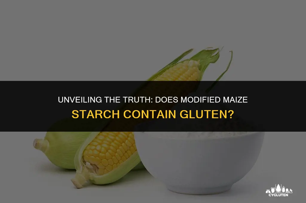 has modified maize starch got gluten in it