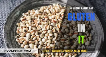 Exploring Pearl Barley: A Gluten-Free Grain Option?