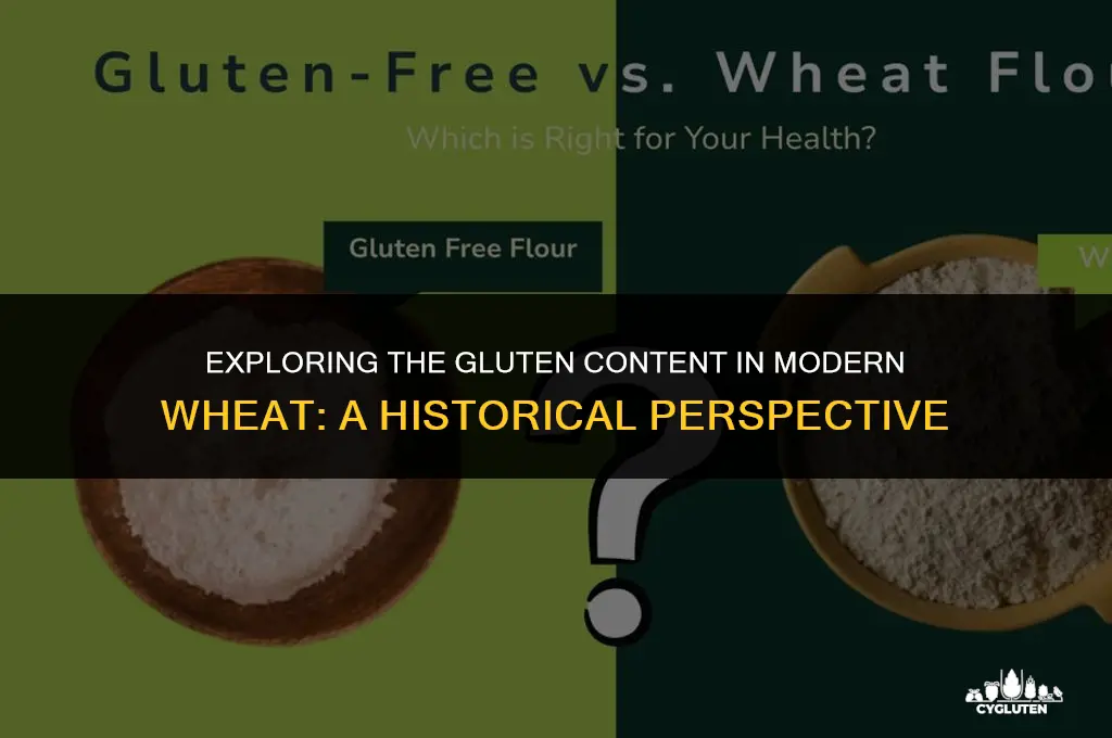 has the amount of gluten in wheat increased