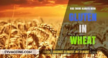 Unraveling the Mystery: Has Gluten Always Been in Wheat?