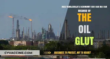 Venezuela's Economic Recovery: A Mirage Amidst the Oil Glut?