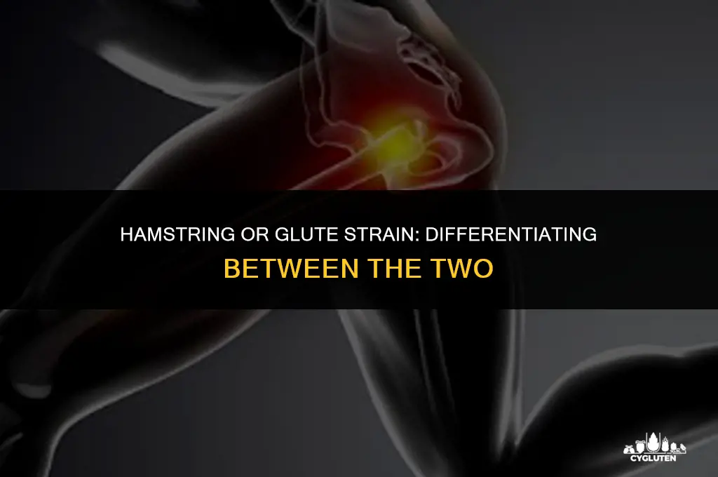 have i pulled my hamstring or glute
