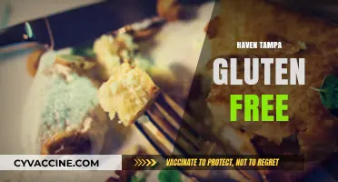 Discover Haven Tampa's Best Gluten-Free Dining Options & Menu Highlights