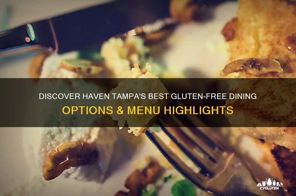 haven tampa gluten free