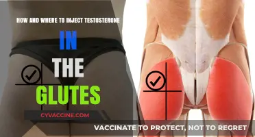 Testosterone Injections 101: A Guide to Safe Gluteal Administration