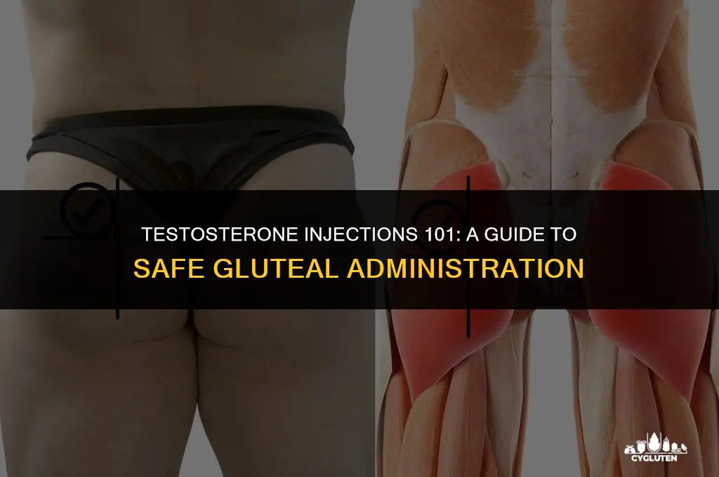 how and where to inject testosterone in the glutes