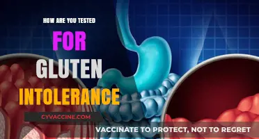 Unraveling the Mystery: How Gluten Intolerance Testing Works