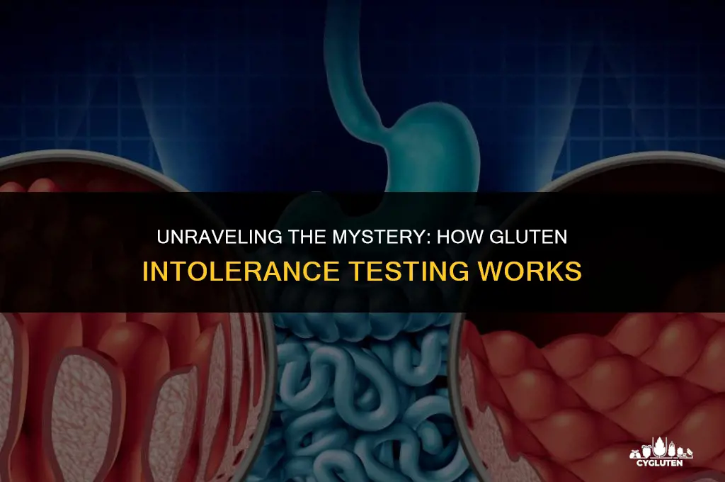 how are you tested for gluten intolerance