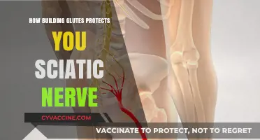 Strong Glutes, Safe Sciatic: The Protective Power of Building Your Rear