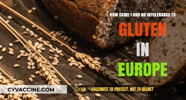 Exploring Gluten Tolerance: My European Experience Unveiled