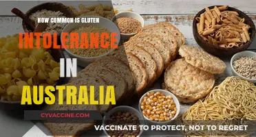 Exploring Gluten Intolerance Prevalence in Australia: Facts and Figures