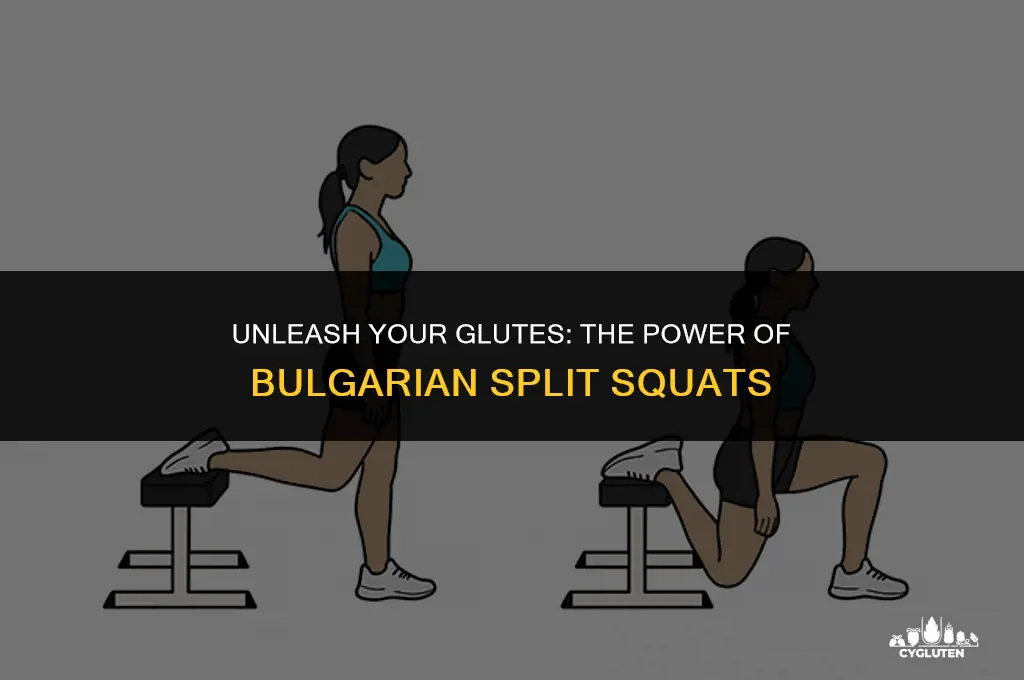 how do bulgarian split squats work glutes