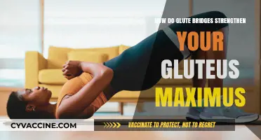 Building Strong Glutes: The Power of Glute Bridges