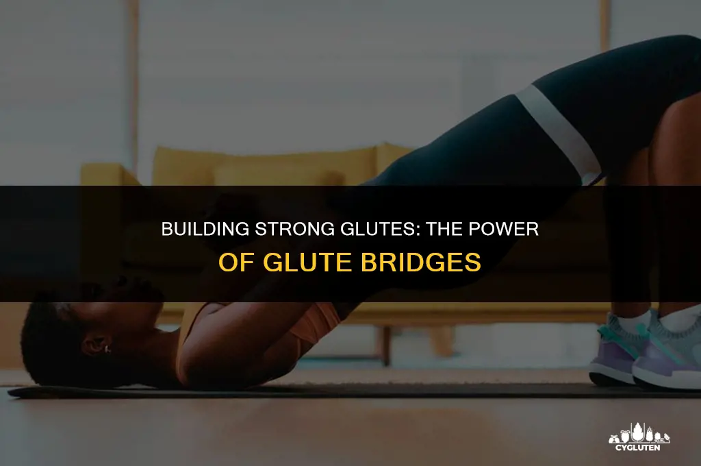 how do glute bridges strengthen your gluteus maximus