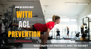 Strong Glutes, Strong Knees: The Key to ACL Injury Prevention