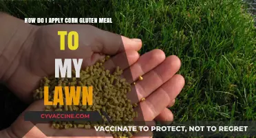 Revitalize Your Lawn: The Ultimate Guide to Applying Corn Gluten Meal