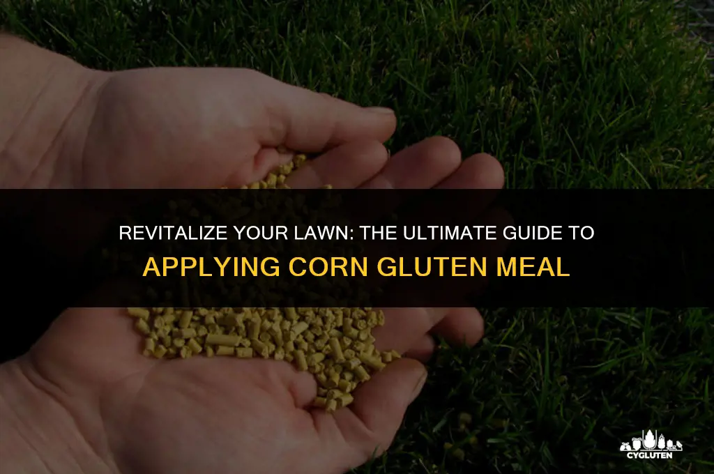 how do i apply corn gluten meal to my lawn
