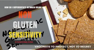 Decoding Gluten Sensitivity: Celiac vs. Non-Celiac Gluten Intolerance