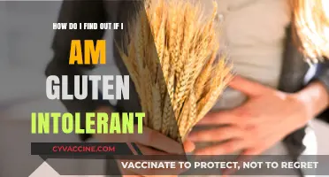 Discovering Gluten Intolerance: A Guide to Recognizing Symptoms and Seeking Answers