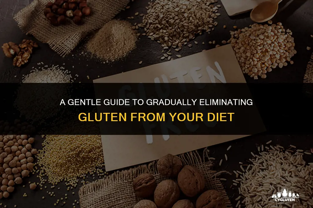 how do i slowly take gluten out of my diet