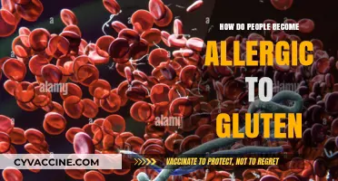 Unraveling the Mystery: How Gluten Allergies Develop in People