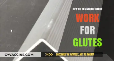 Sculpting Strong Glutes: The Science Behind Resistance Bands