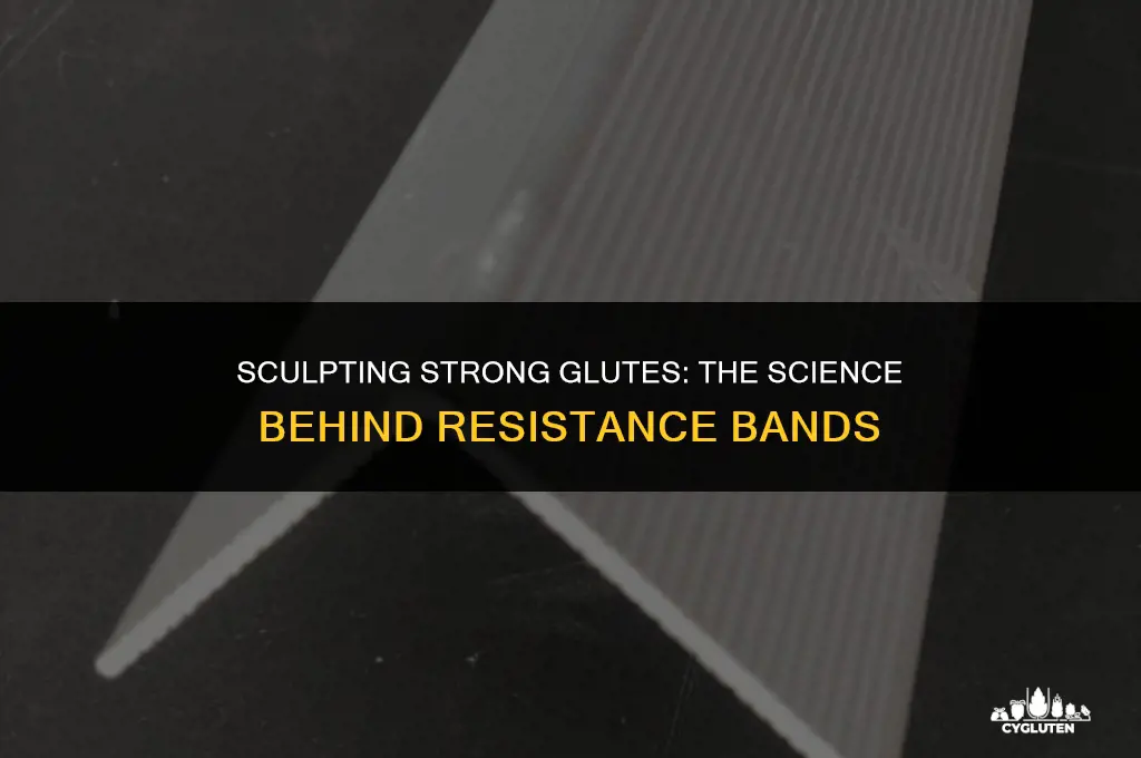 how do resistance bands work for glutes
