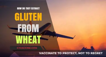 Unraveling the Mystery: How Gluten is Extracted from Wheat