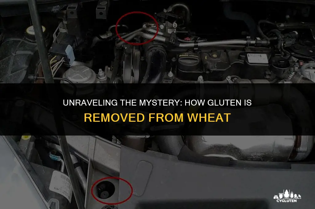 how do they remove gluten from wheat