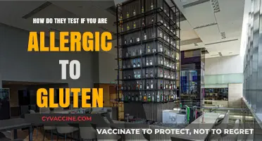 Unveiling Gluten Allergy: The Comprehensive Testing Process Explained
