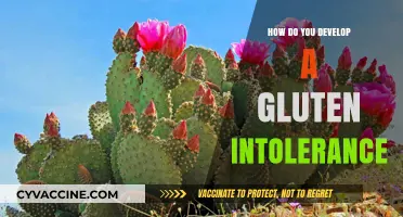 Unraveling the Mystery: How Gluten Intolerance Develops Over Time