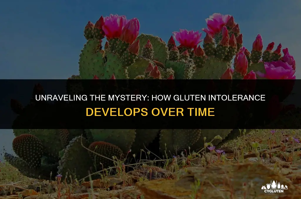 how do you develop a gluten intolerance