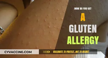 Understanding Gluten Allergies: Causes, Symptoms, and Diagnosis