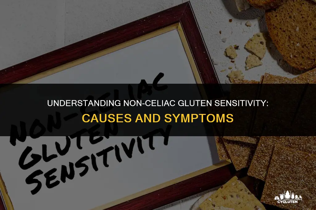 how do you get non-celiac gluten sensitivity
