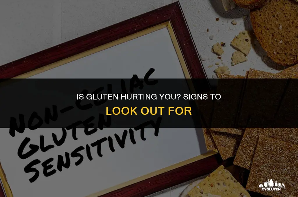 how do you knoe is gluten is hurting you