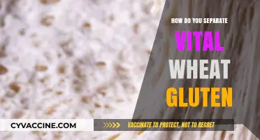 Mastering the Art of Vital Wheat Gluten Separation: A Step-by-Step Guide