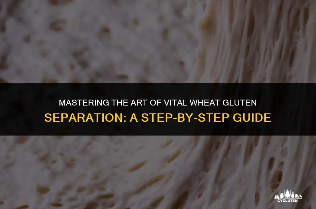how do you separate vital wheat gluten