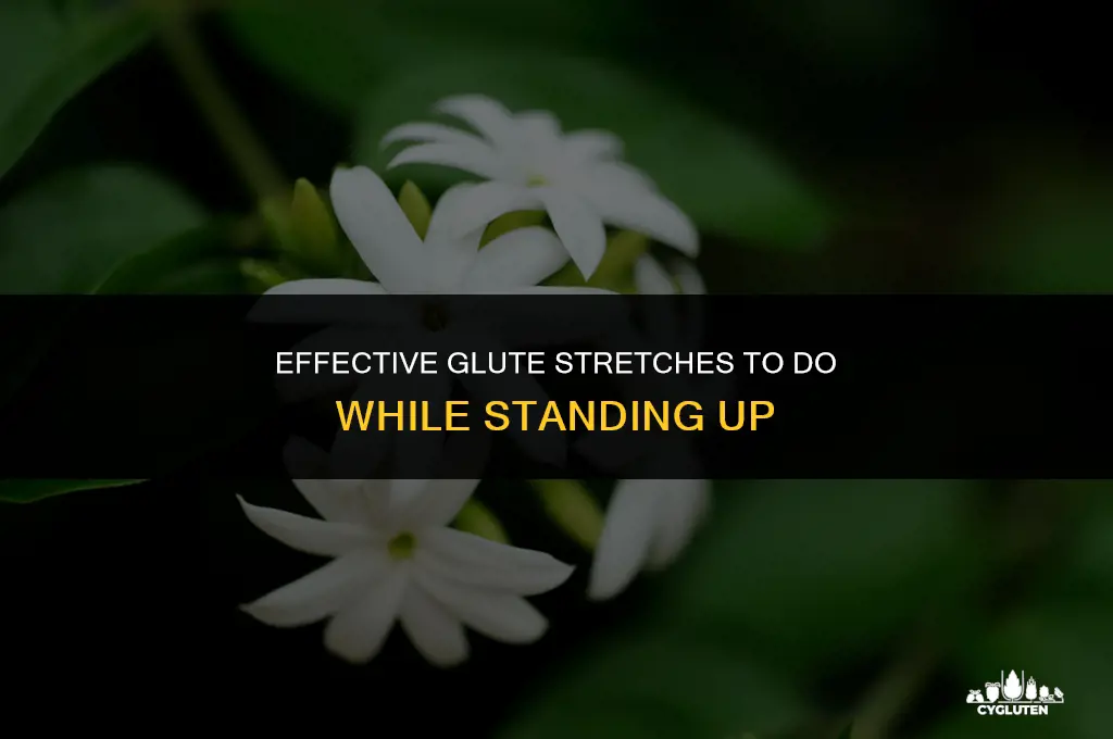 how do you stretch your glutes when standing