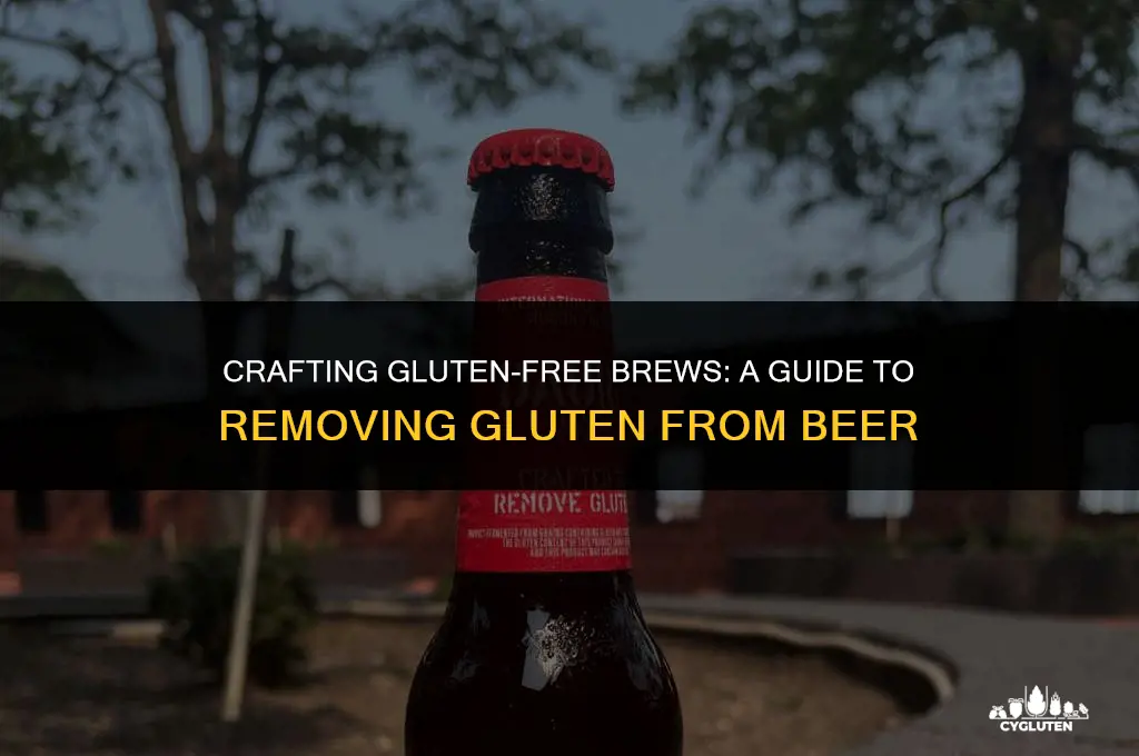 how do you take gluten out of beer