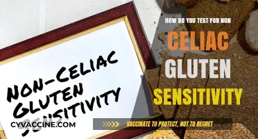 Exploring Non-Celiac Gluten Sensitivity: A Comprehensive Testing Guide