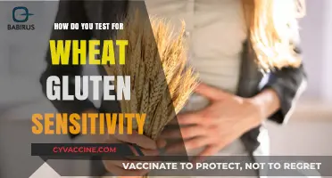 Unveiling Wheat Gluten Sensitivity: A Comprehensive Testing Guide