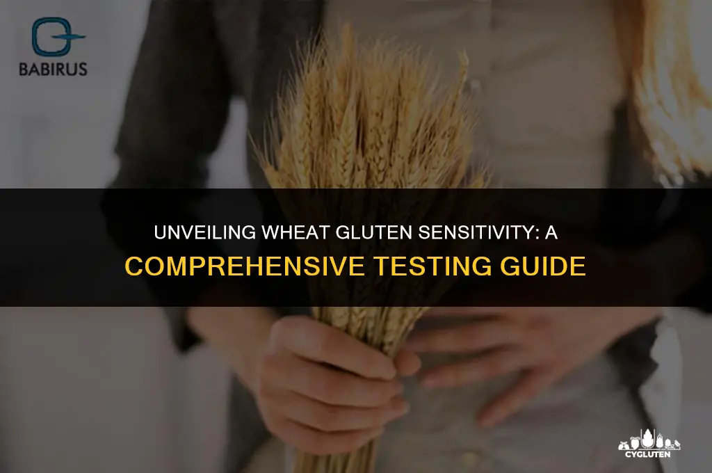 how do you test for wheat gluten sensitivity